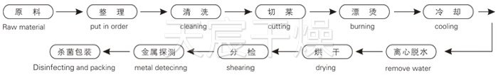 脫水蔬（shū）菜帶式幹（gàn）燥（zào）工藝流程