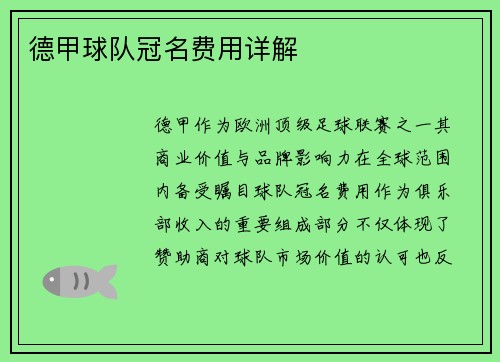 德甲球队冠名费用详解